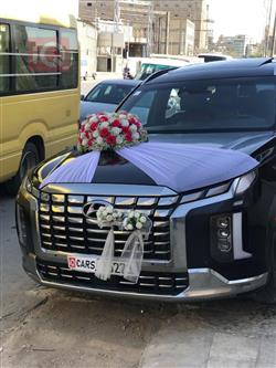 هيونداي باليسيد
